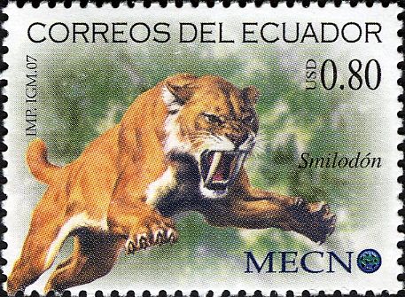 Saber-Tooth-Tiger (Smilodon sp.)