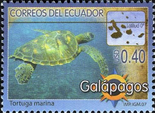 Green Sea Turtle (Chelonia mydas)