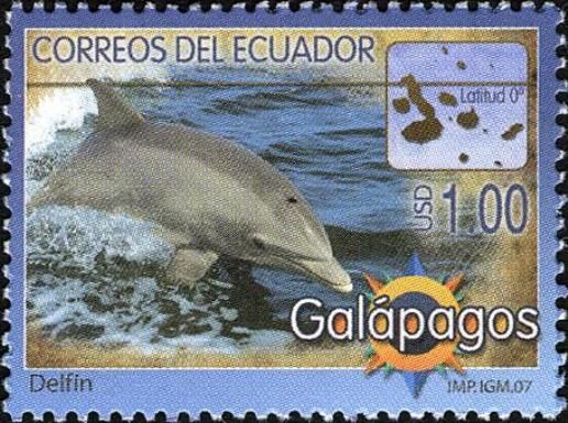 Common Bottlenose Dolphin (Tursiops truncatus)