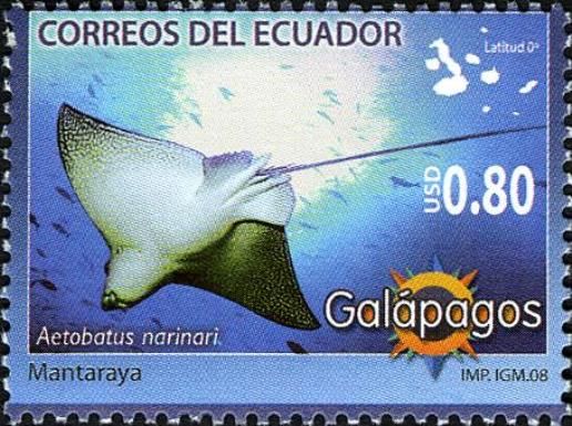 Spotted Eagle Ray (Aetobatus narinari)