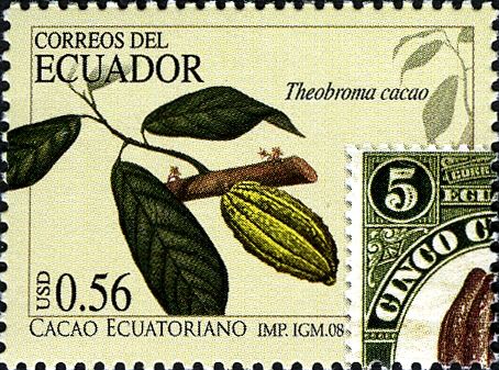 Cacao Pod
