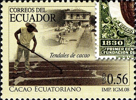 Cacao Processing