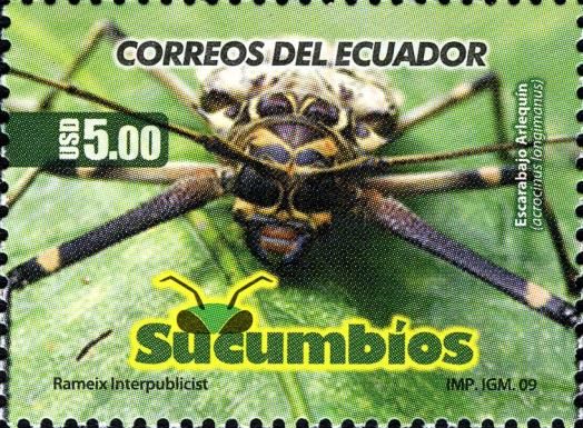 Harlequin Beetle (Acrocinus longimanus)