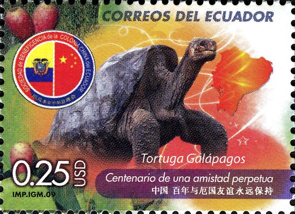 Galapagos Tortoise (Chelonoidis nigra)