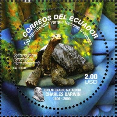 Pinta Island Tortoise (Geochelona nigra abingdoni)