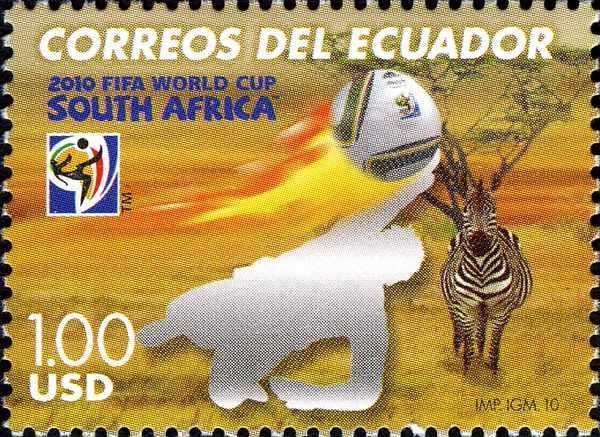 Zebra (Equus sp.), Outline of a Soccer Player in the Savanna