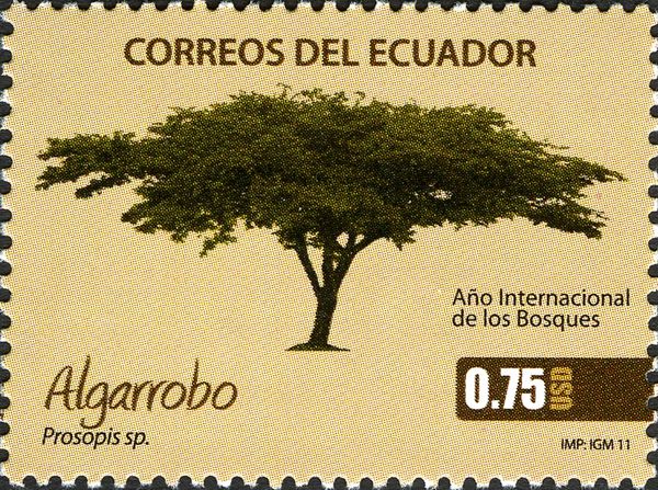 Prosopis sp.