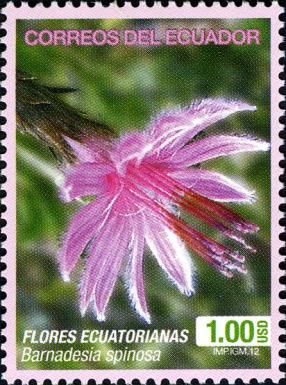 Barnadesia spinosa