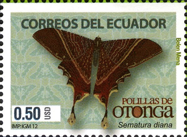 Moth (Sematura diana)
