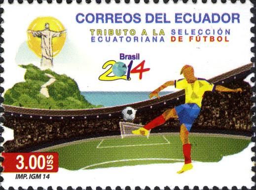 National Football Team Player on playground