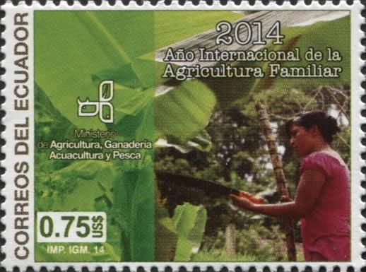Banana Farmer