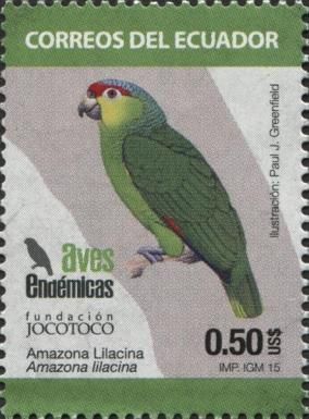 Red-lored Amazon (Amazona lilacina)