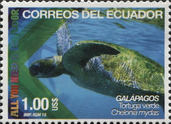 Chelonia mydas