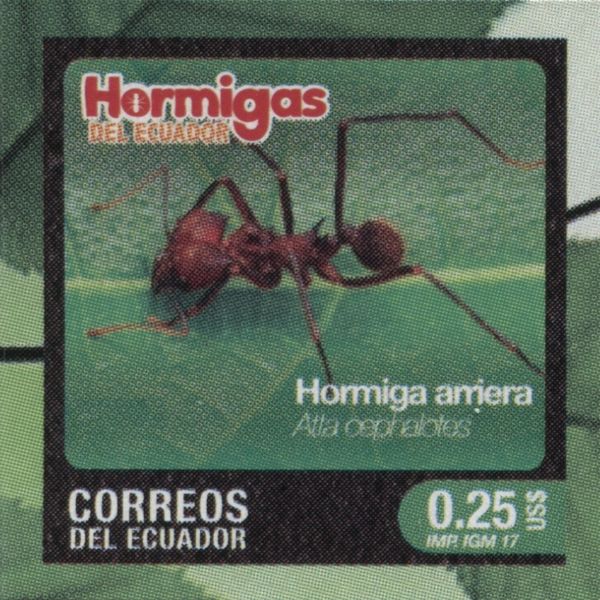 Atta cephalotes