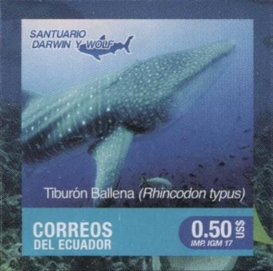 Whale Shark (Rhincodon typus)