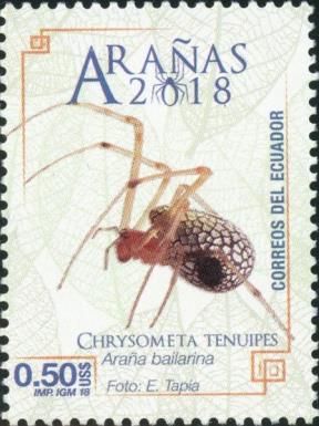 Chrysometa tenuipes