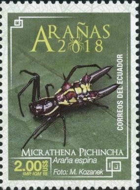 Micrathena pichincha