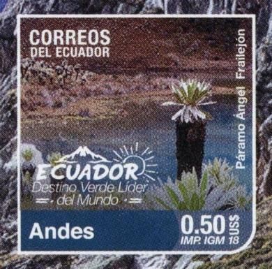 Páramo Ángel Nature Reserve