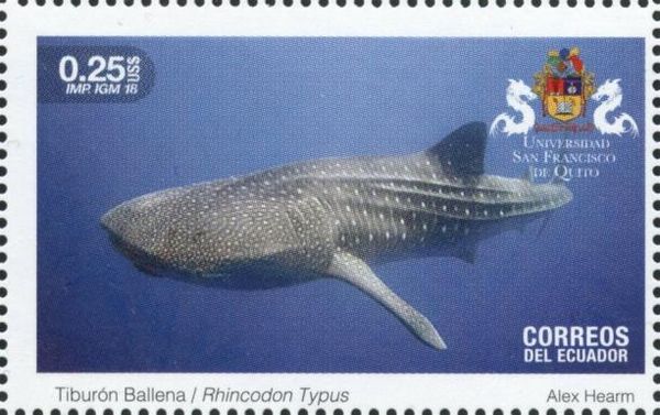 Whale Shark (Rhincodon typus)