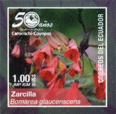 Bomarea glaucescens