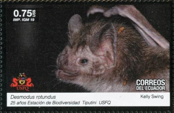 Bats