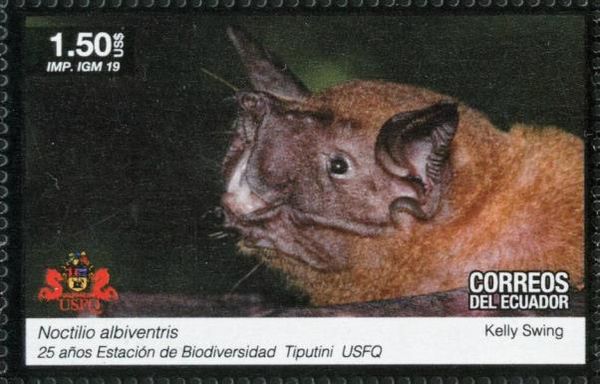 Bats
