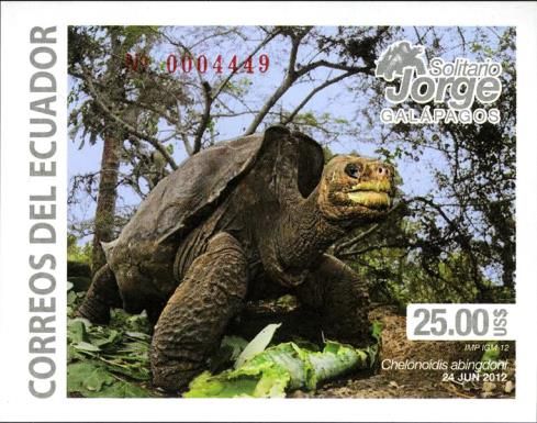 Pinta Island Tortoise (Chelonoidis nigra abingdoni)