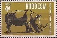 White Rhinoceros (Ceratotherium simum)