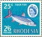 Tigerfish (Hydrocynus lineatus)