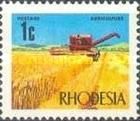 Wheat harvesting with a combine harvester