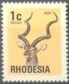 Greater Kudu (Tragelaphus strepsiceros)