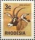Roan Antelope (Hippotragus equinus)