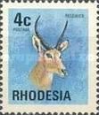 Common Reedbuck (Redunca arundinum)
