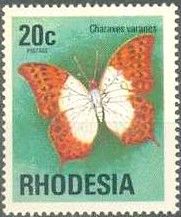 Pearl Charaxes (Charaxes varanes)
