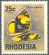 Yellow Pansy (Precis cebrene)