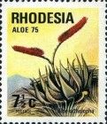 Aloe ortholopha