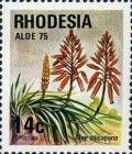 Aloe musapana