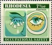 Injured eye and safety eyeglass