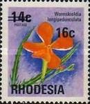 Wild Pimpernel (Wormskioldia longepedunculata) - Surcharged
