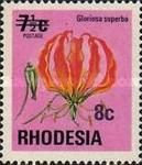 Flame lily (Gloriosa superba)