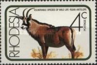 Roan Antelope (Hippotragus equinus)