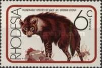 Brown Hyaena (Hyaena brunnea)