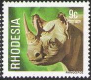 Black Rhinoceros (Diceros bicornis)