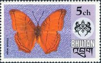 Common Cruiser (Vindula erota)