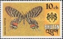 Bhutan Glory (Bhutanitis lidderdalei)