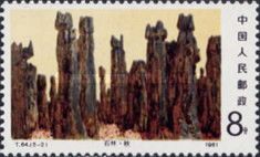 Limestone Formations in Lunan Stone Fores