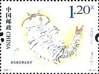 Fossils of Chengjiang
