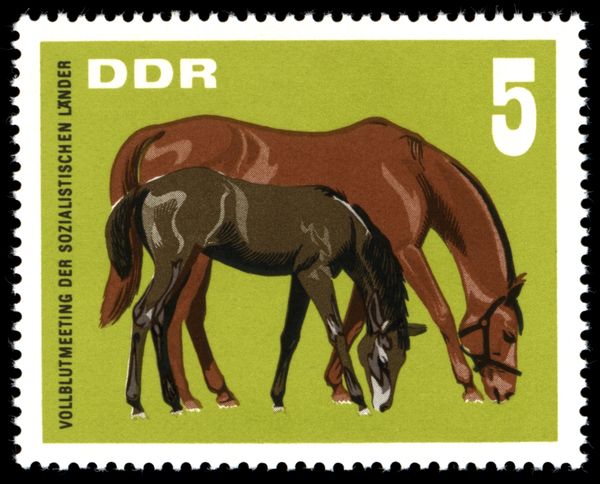 Mare and Foal