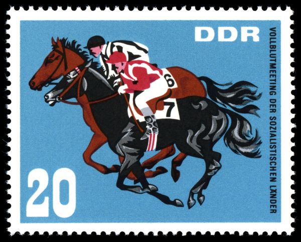 Horse-racing
