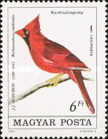 Northern Cardinal (Richmondena cardinalis)